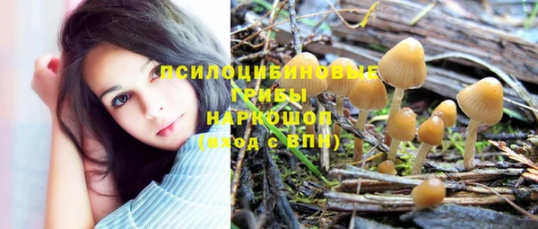 Альфа ПВП Армянск