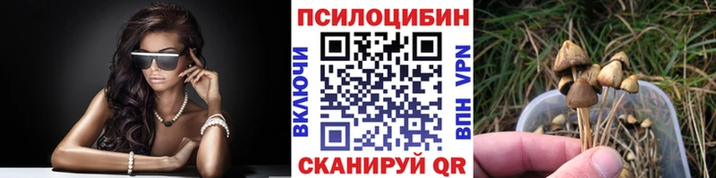 Купить  Минусинск  Псилоцибиновые грибы мухоморы 